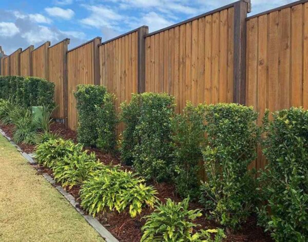 Fencing